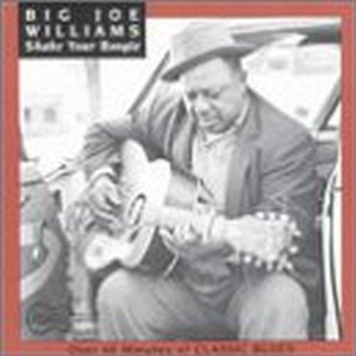 Big Joe Williams: Shake Your Boogie - COMPACT DISCS
