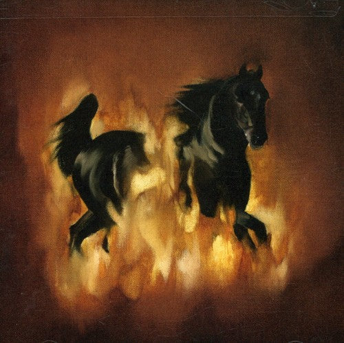 The Besnard Lakes: The Besnard Lakes Are The Dark Horse - COMPACT DISCS