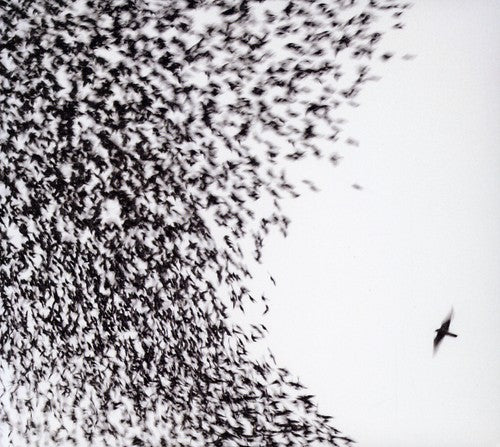 Wilco: Sky Blue Sky - COMPACT DISCS
