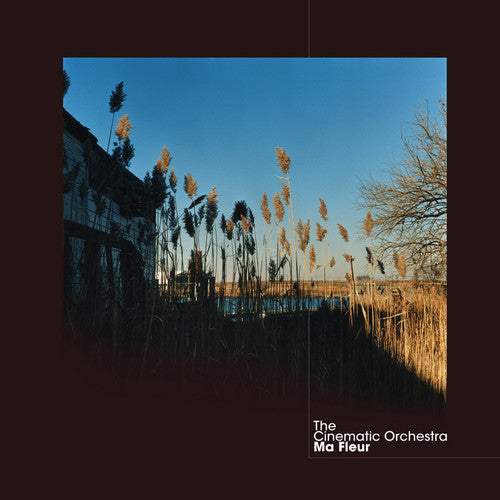 The Cinematic Orchestra: Ma Fleur - VINYL LP
