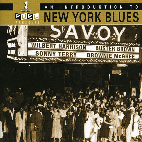 Various Artists: Intro to New York Blues / Various - COMPACT DISCS