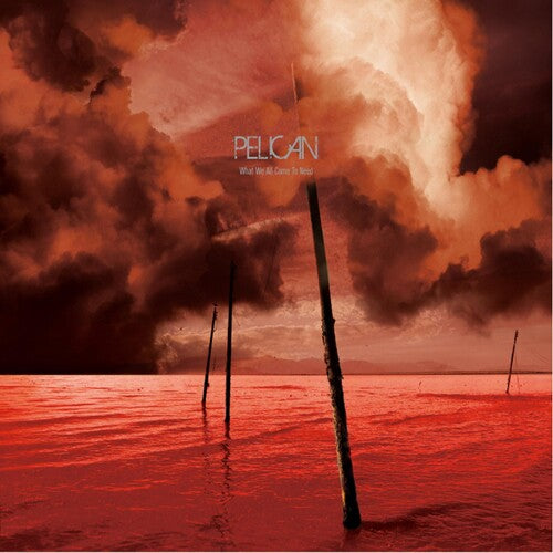 Pelican: What We All Come to Need - COMPACT DISCS