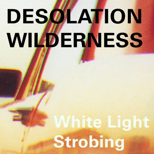 Desolation Wilderness: White Light Strobing - COMPACT DISCS