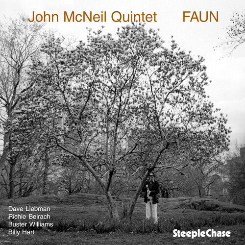 John McNeil: Faun - COMPACT DISCS