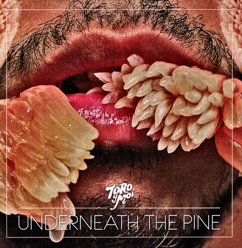 Toro y Moi: Underneath the Pine - VINYL LP