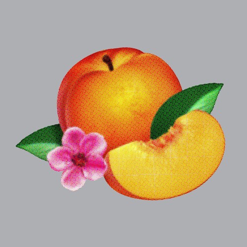 Phoenix: Bankrupt! (Limited) - COMPACT DISCS