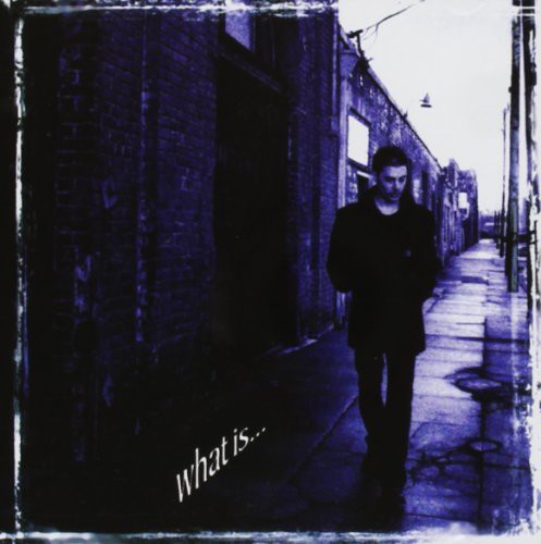Richie Kotzen: What Is - COMPACT DISCS