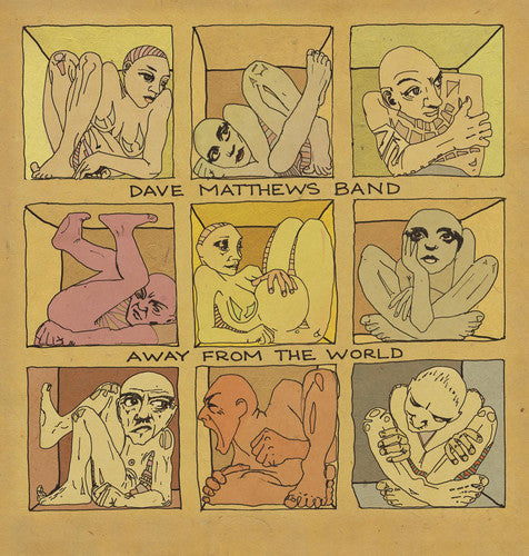 Dave Matthews Band: Away from the World - VINYL LP
