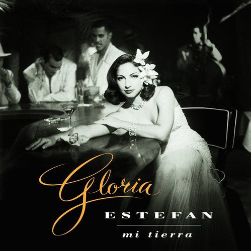 Gloria Estefan: Mi Tierra - VINYL LP