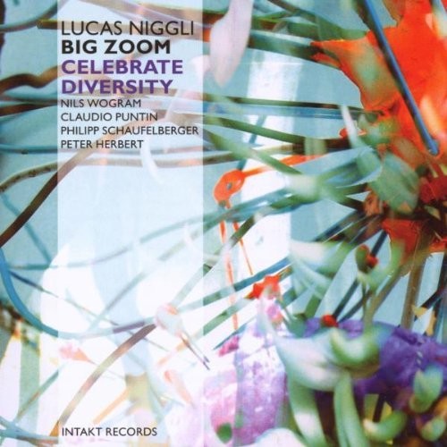Niggli: Celebrate Diversity Zoom - COMPACT DISCS