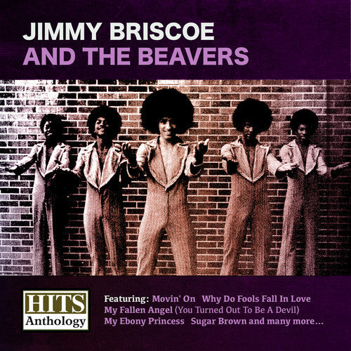 Jimmy Briscoe: Hits Anthology: Jimmy Briscoe & Beavers - COMPACT DISCS