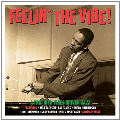 Various Artists: Feelin' the Vibe - COMPACT DISCS
