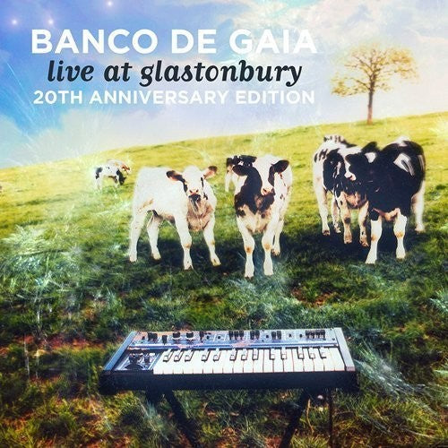 Banco de Gaia: Live At Glastonbury: 20th Anniversary Edition - COMPACT DISCS