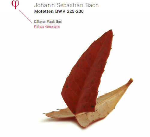 Bach, J.S. / Collegium Vocale Gent / Herreweghe: Johann Sebastian Bach: Motetten BWV 225-230 - VINYL LP