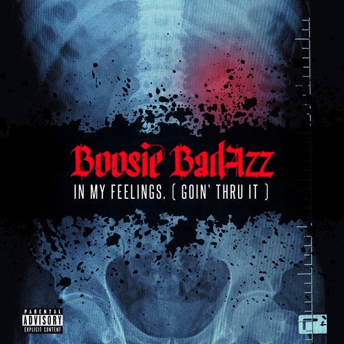 Boosie Badazz: In My Feelings (Goin' Thru It) - COMPACT DISCS