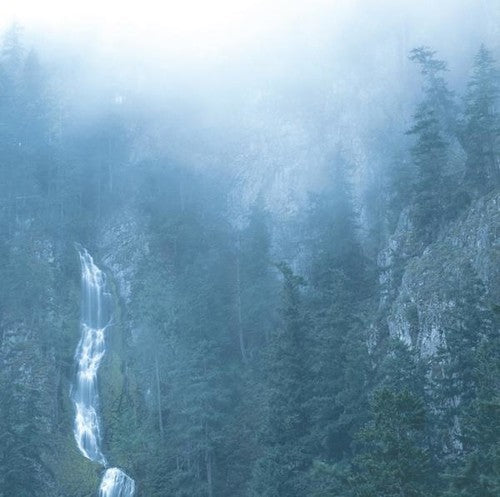 Wolves in the Throne Room: Diadem Of 12 Stars - VINYL LP