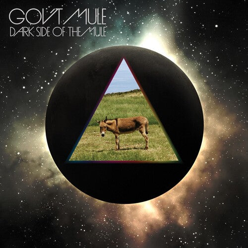 Gov't Mule: Dark Side of the Mule - VINYL LP
