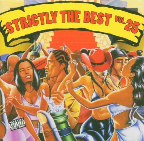 Various Artists: Strictly The Best Vol. 25 - COMPACT DISCS