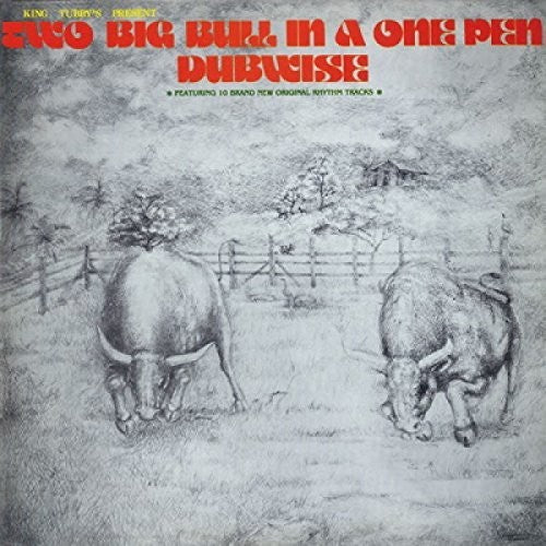 King Tubby's: Two Big Bull In A One Pen (Dubwise Versions) - COMPACT DISCS