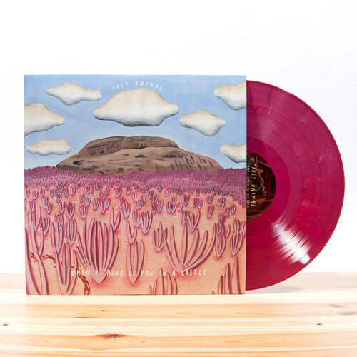 Post Animal: When I Think Of You In A Castle ( - VINYL LP