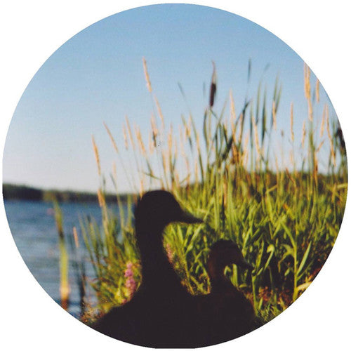Johan Kaseta: Erefora Land - 12-INCH SINGLE