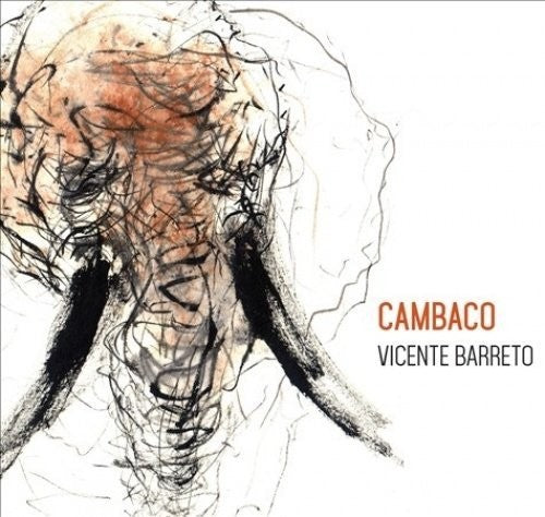 Vicente Barreto: Cambaco - VINYL LP