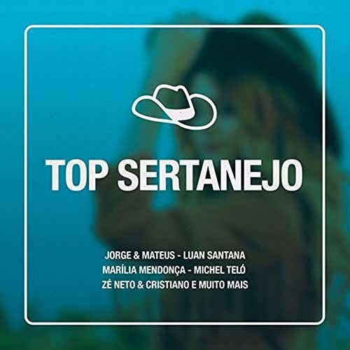 Various Artists: Top Sertanejo / Various - COMPACT DISCS