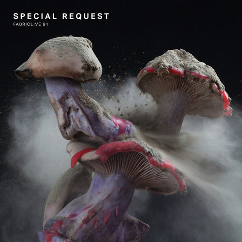 Special Request: Fabriclive 91 - COMPACT DISCS