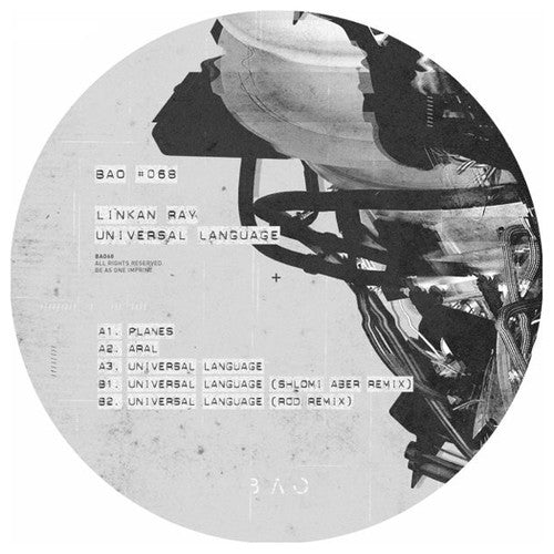 Linkan Ray: Universal Language - 12-INCH SINGLE