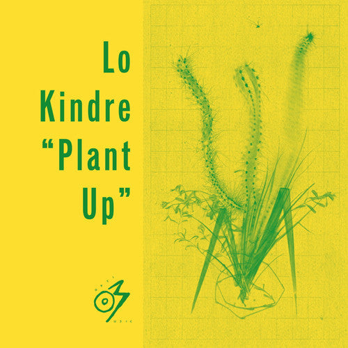 Lo Kindre: Plant Up - 12-INCH SINGLE