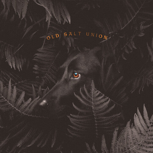 Old Salt Union: Where The Dogs Don't Bite - COMPACT DISCS