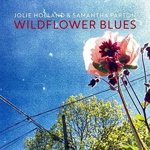 Jolie Holland: Wildflower Blues - COMPACT DISCS