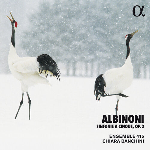 Albinoni / Banchini / Ensemble 415: Sinfonie a Cinque 2 - COMPACT DISCS