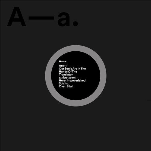 Our Souls Are in the Hands of the Translator: Our Souls Are In The Hands Of The Translator - VINYL LP