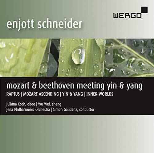 Schneider / Koch / Gaudenz: Meeting Yin & Yang - COMPACT DISCS