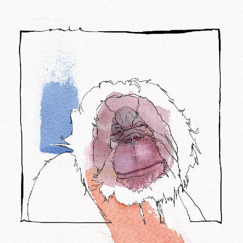 Acid Pauli: Had To Get Rid Of Some Shit - 12-INCH SINGLE
