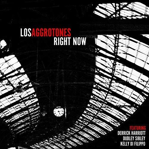 Los Aggrotones: Right Now - VINYL LP