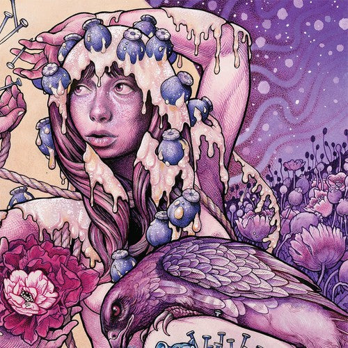 Baroness: Try To Disappear - VINYL LP
