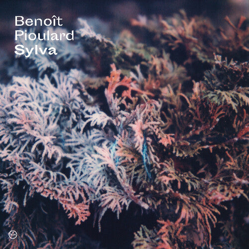 Benoit Pioulard: Sylva - VINYL LP