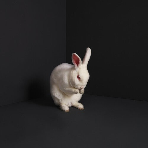 Brume: Rabbits - COMPACT DISCS