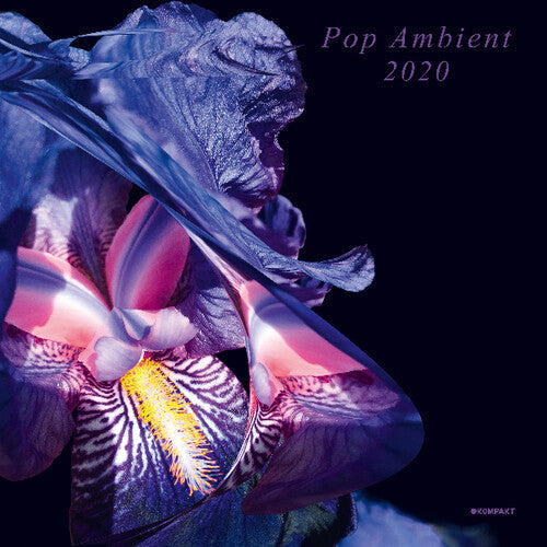 Various Artists: Pop Ambient 2020 (Various Artists) - COMPACT DISCS