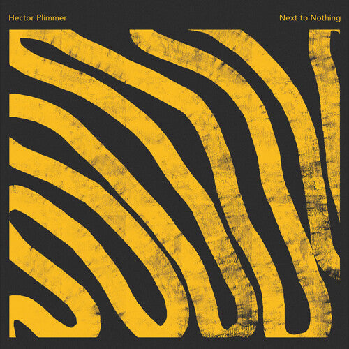 Hector Plimmer: Next To Nothing - VINYL LP