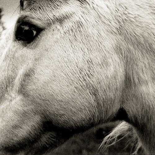 Bonny Light Horseman: Bonny Light Horseman - COMPACT DISCS