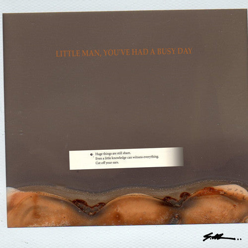 S.Al: Little Man You've Had A Busy Day - VINYL LP