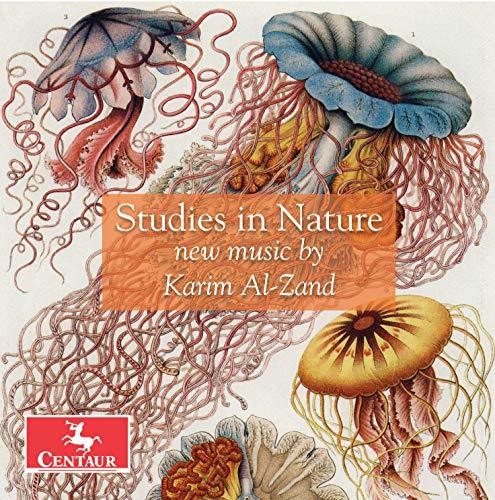 Al-Zand / Roitstein / Hauschildt: Studies in Nature - COMPACT DISCS