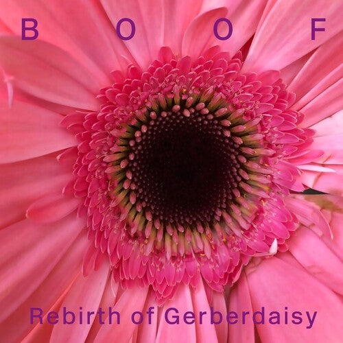 Boof: Rebirth of Gerberdaisy - VINYL LP
