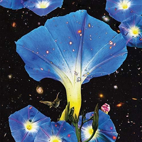 Sarah Louise: Nighttime Birds And Morning Stars - VINYL LP