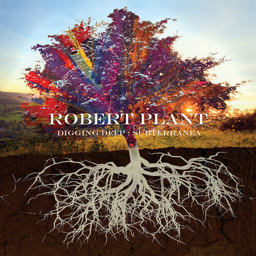 Robert Plant: Digging Deep: Subterranea - COMPACT DISCS