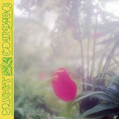 Jabu: Sweet Company - VINYL LP