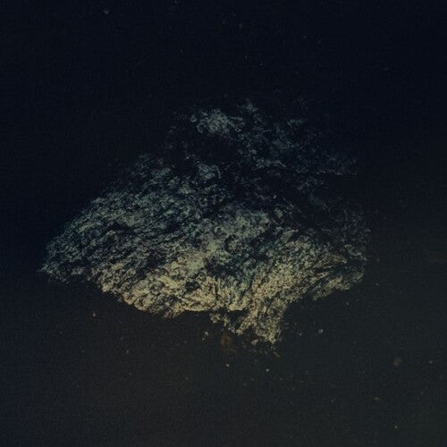 Multicast Dynamics: Lost World - VINYL LP